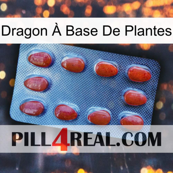 Dragon À Base De Plantes 06